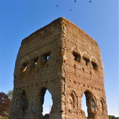 Temple de Janus